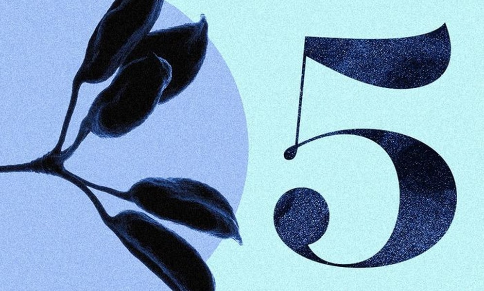 Số 5 Có Ý Nghĩa Gì? Chia Sẻ Đầy Đủ Kiến Thức Về Ý Nghĩa Số 5