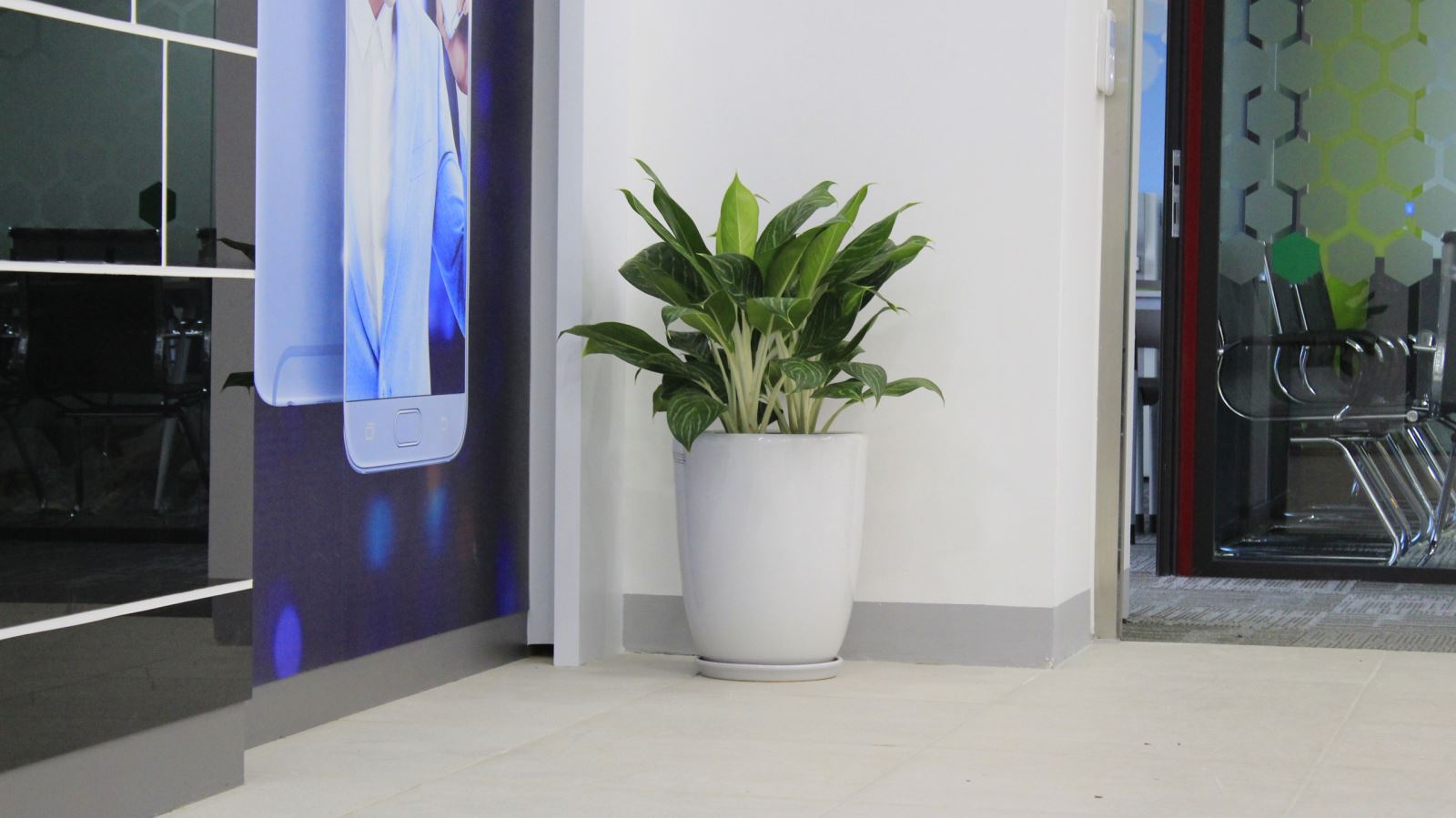 Ý nghĩa và tác dụng của cây Bach