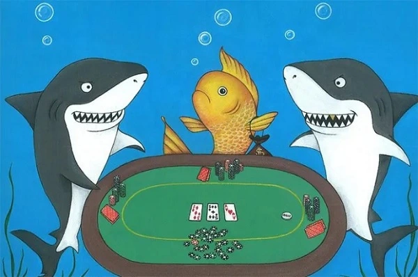 Các chỉ số trong Poker: nhận diện và cách đọc cho dân Poker